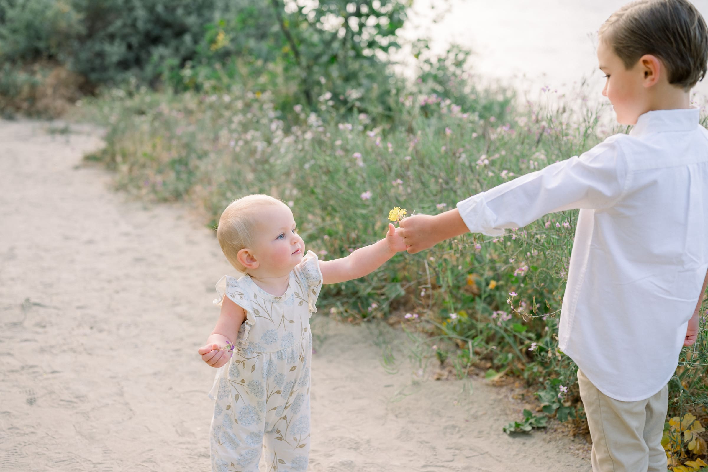 Spring family portraits in Los Angeles at the beach featuring siblings giving each other a flower at the beach.