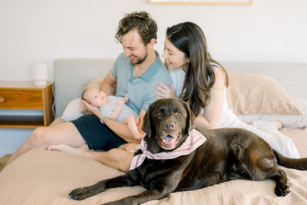 A dog laying on the bed looking at the camera while it's owners look at their newborn baby.