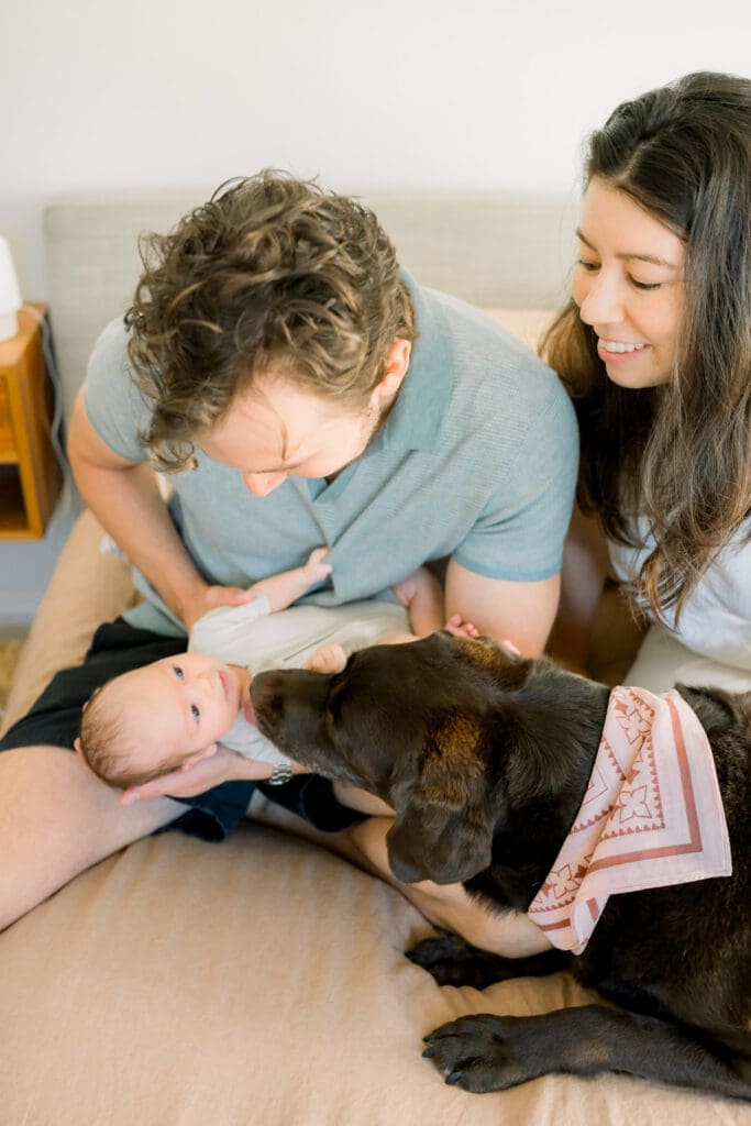 A family taking newborn photos with dogs at their home in Hermosa Beach.