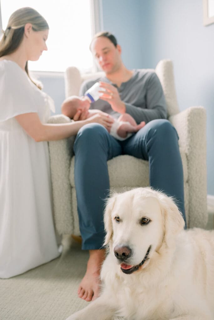 A South Bay in-home newborn session featuring a family with their dog.