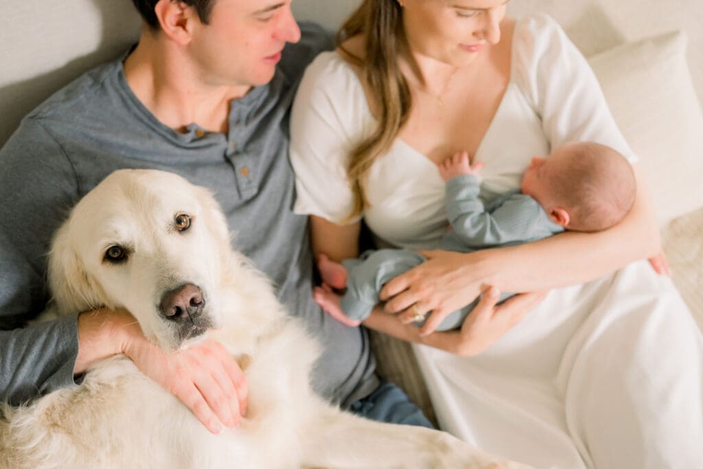 A family snuggled on the bed together with their dog and newborn baby.