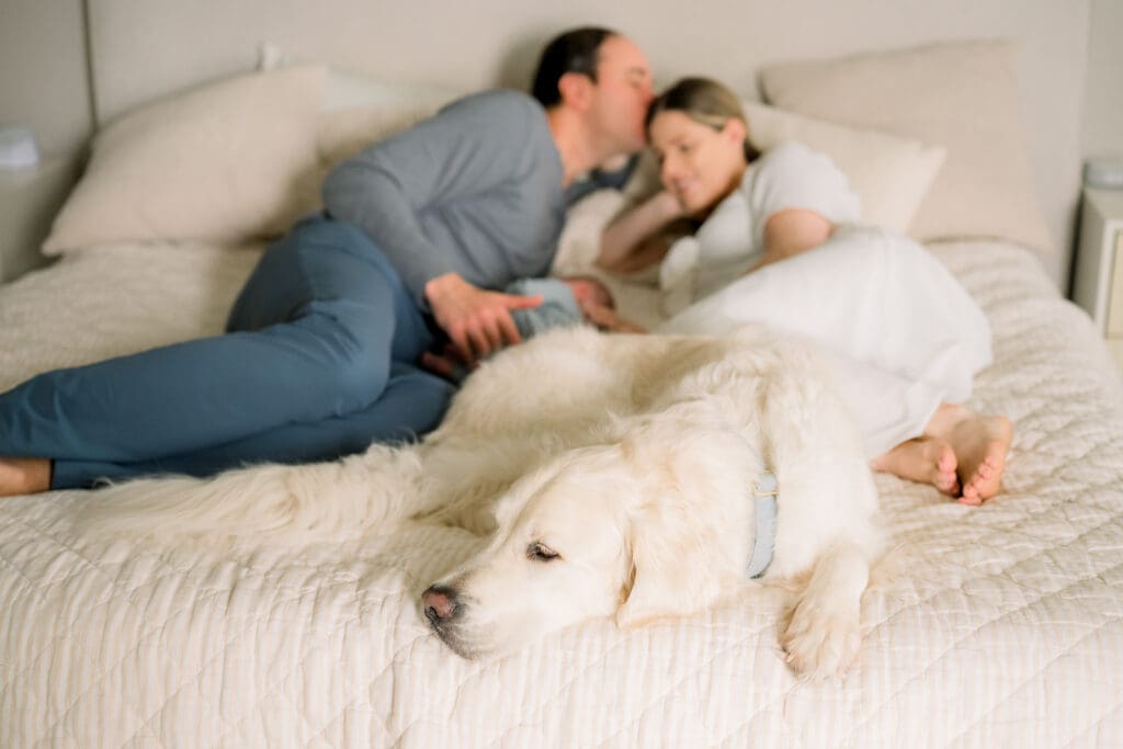 A dog laying peacefully on the bed in front of a family with their newborn baby.
